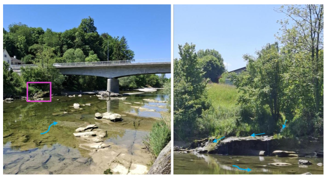 Thur3: Abschnitt Bürglen - Kradolf-Schönenberg, Sanierung Fischgängigkeit Schwellen und Mündungen kmTG 32.310 bis 35.900